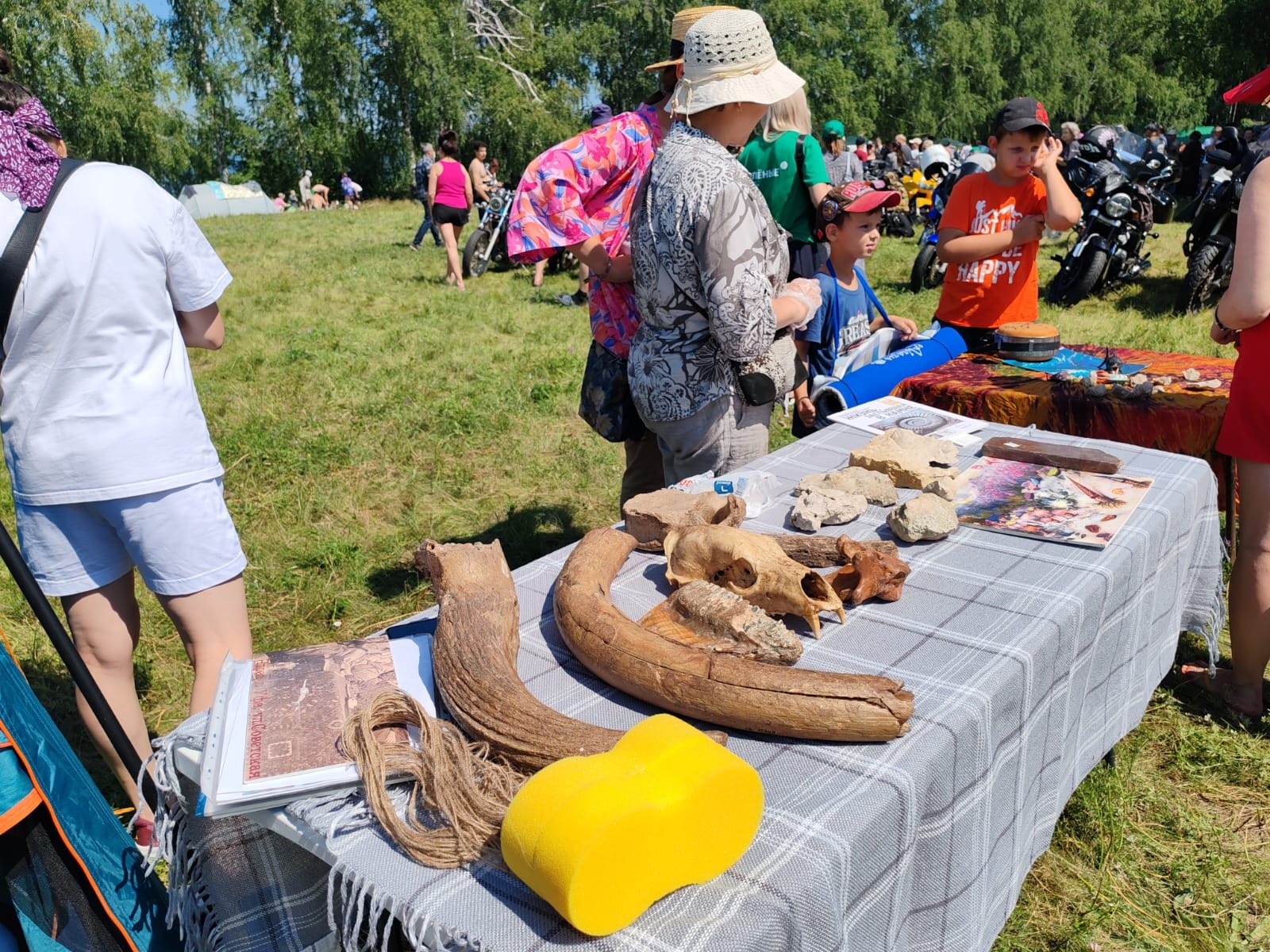 Партия «ЗЕЛЁНЫЕ» провела эколого-просветительский мотофестиваль «Зелёный Кандры-Куль 2025» Партия «ЗЕЛЁНЫЕ» провела эколого-просветительский мотофестиваль «Зелёный Кандры-Куль 2025»