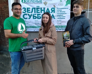 На «Зелёной субботе» жители Ростова-на-Дону передали 80 кг корма безнадзорным животным в приюты