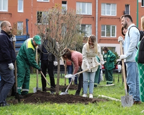Питерские «Зелёные» высадили деревья в Воронцовском парке