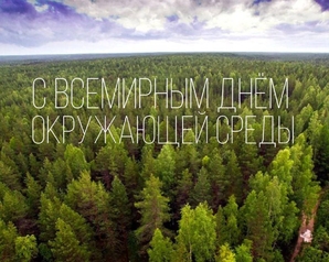 ВЗГЛЯД: Экологи высоко оценили усилия России по спасению окружающей среды