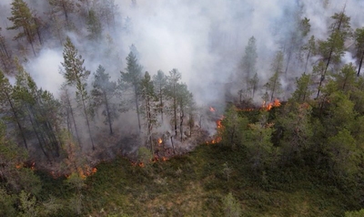 RUSSIA TODAY: Эколог Нагибин: рост числа пожаров в России происходит на фоне изменений климата