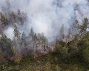 RUSSIA TODAY: Эколог Нагибин: рост числа пожаров в России происходит на фоне изменений климата