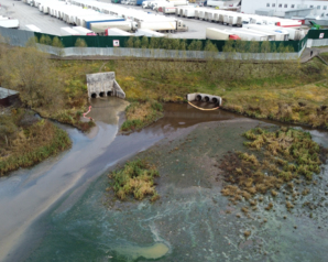 Московские «Зелёные» анализируют качество воды в реке Сосенка