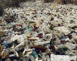 Зелёные требуют провести биореабилитацию реки Калаус в Ставрополье и найти виновных загрязнения