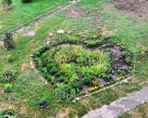 Ставропольские Зелёные создали газон в форме сердца