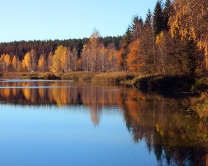 Российские «Зеленые» призвали власти Москвы и Подмосковья защитить озеро Лесное и реку Липка от загрязнения сточными водами