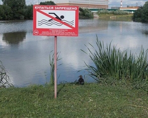 Московские «Зелёные» требуют остановить загрязнение реки Сосенка